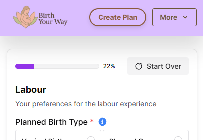 Birth Your Way birth plan generator placeholder